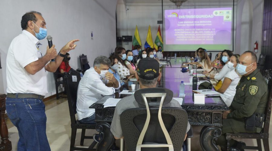 Distriseguridad